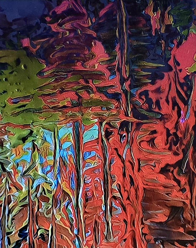 Bonnie MsB 🏡🌲🎨📷🥾☕⛺🏚🦉✍🌞 tweet media