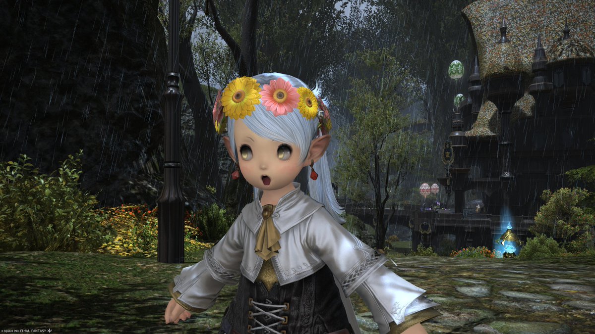 いえのねこ tweet media