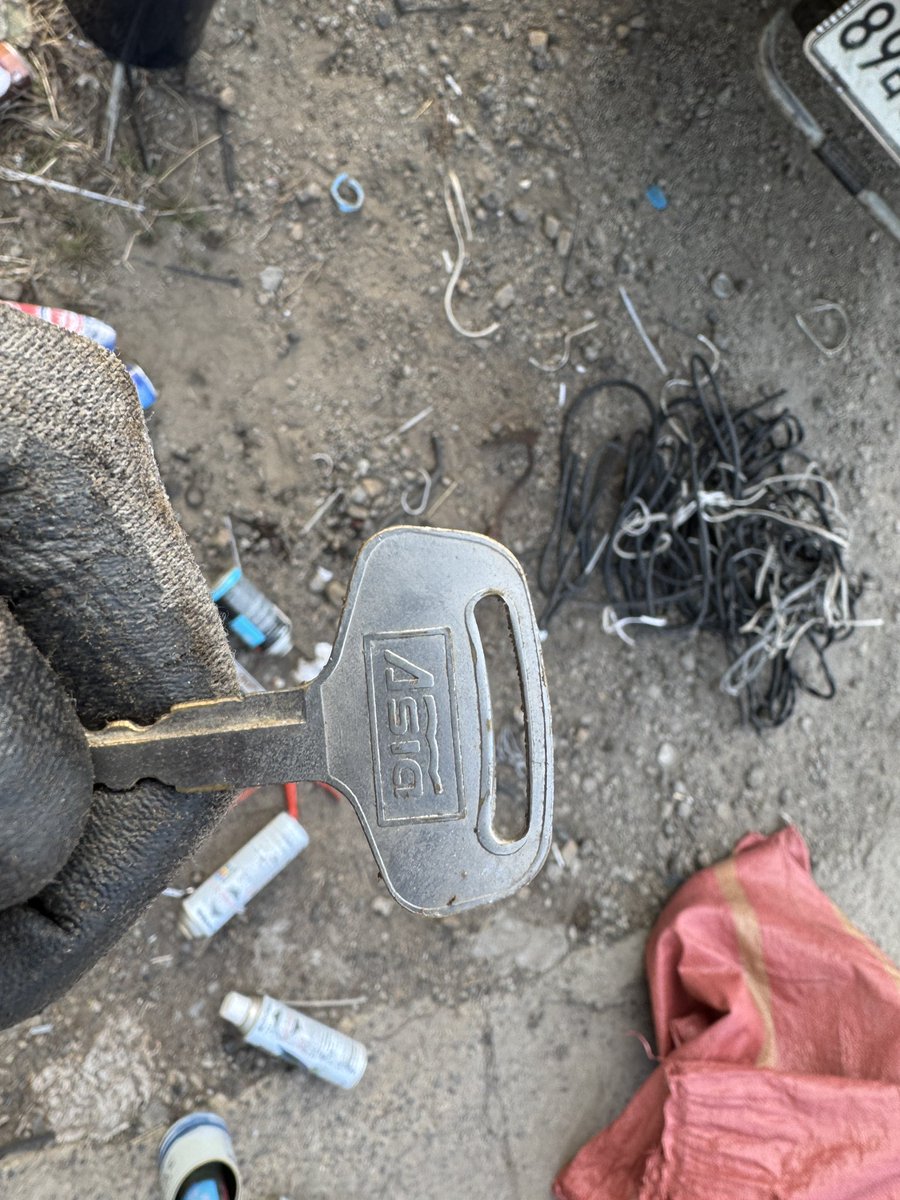 TISDORY(티스도리) tweet media