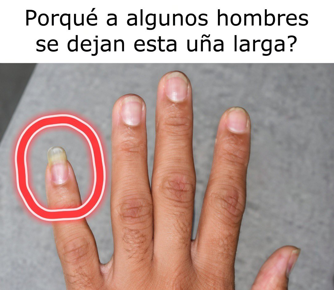 Isa Ricci tweet media