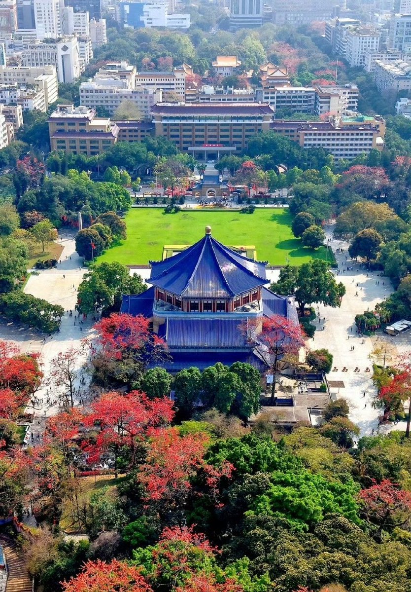 Fanyi🦋🌸 tweet media