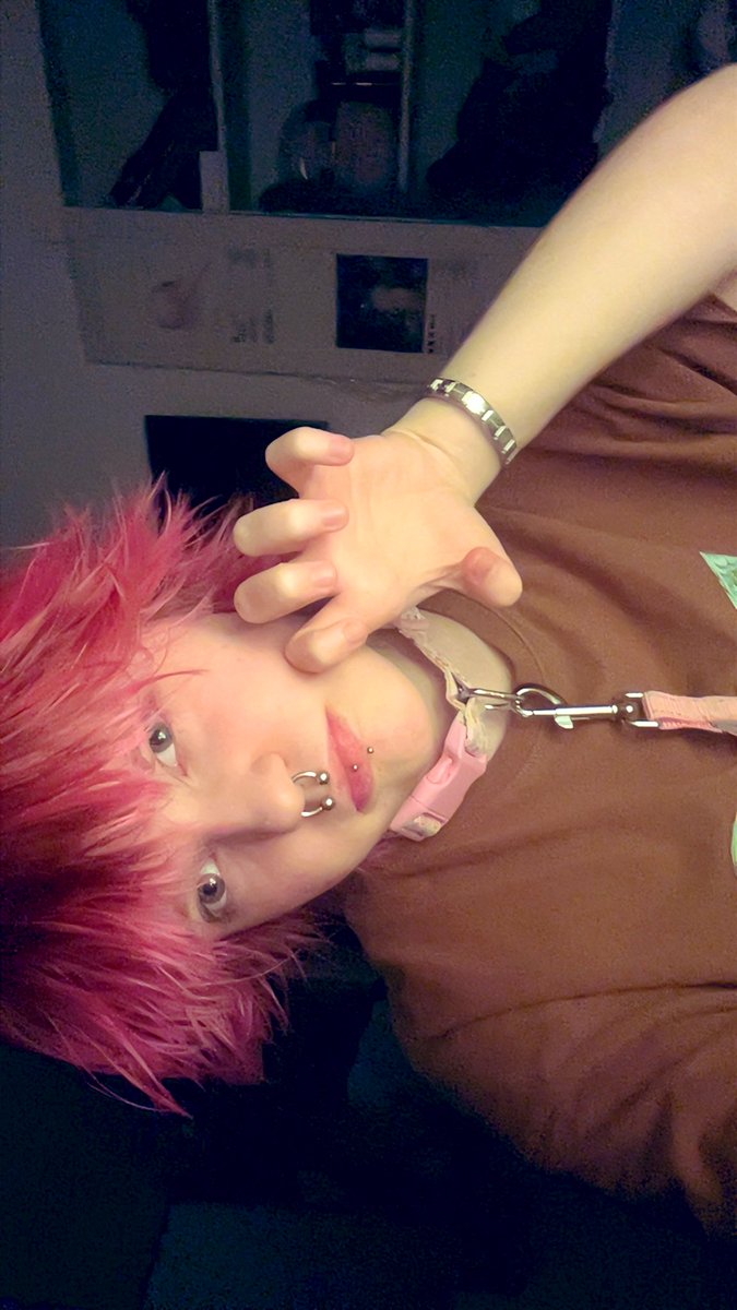 el🍥🍡 tweet media