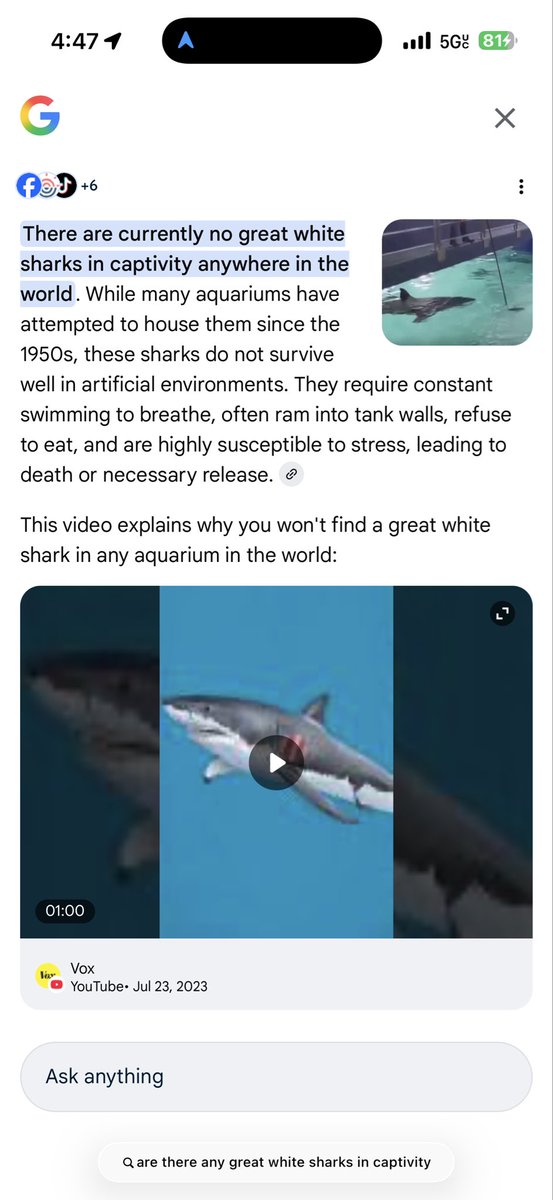 .<a href="/champagnennuts/">Mychal Thompson</a> offers more than basketball knowledge. Never knew this about great white sharks 🤯 <a href="/ESPNLosAngeles/">ESPN Los Angeles</a> <a href="/LAIreland/">John Ireland</a>