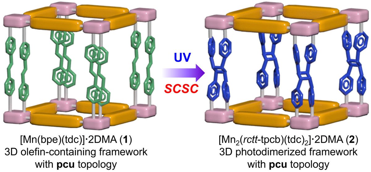 BKCS_Official tweet media