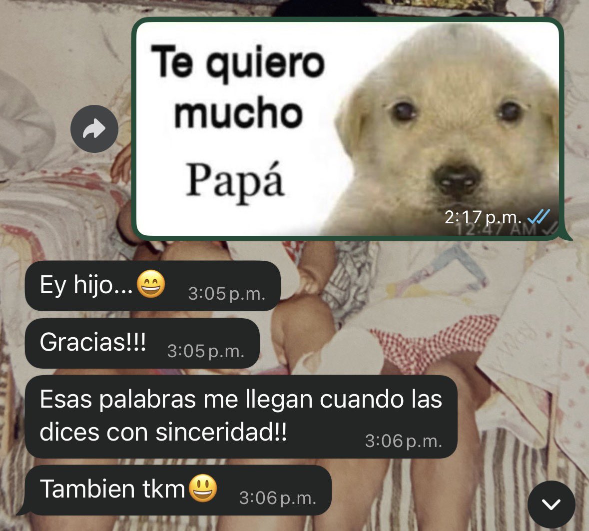 Mrkamochi tweet media