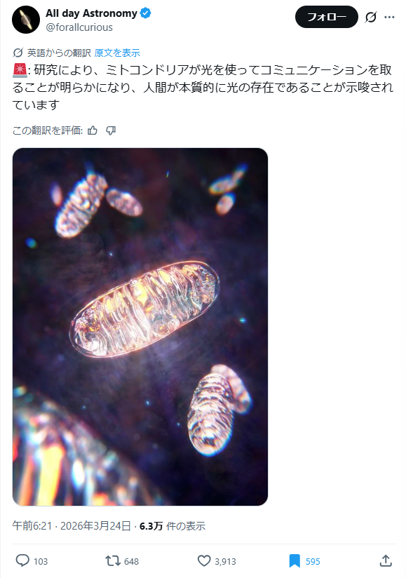 syounan.tansuke tweet media