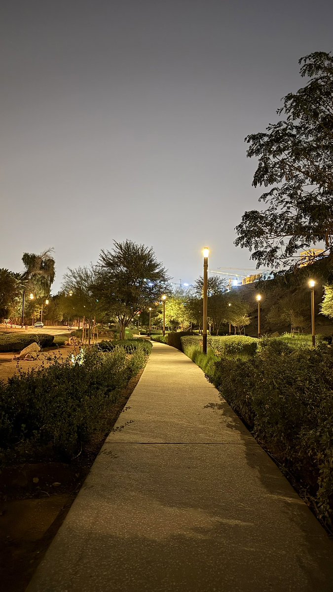 𝖬𝖺𝗇𝖺𝗋 𝖠𝗅𝗌𝗁𝖾𝗁𝗋𝗂 tweet media