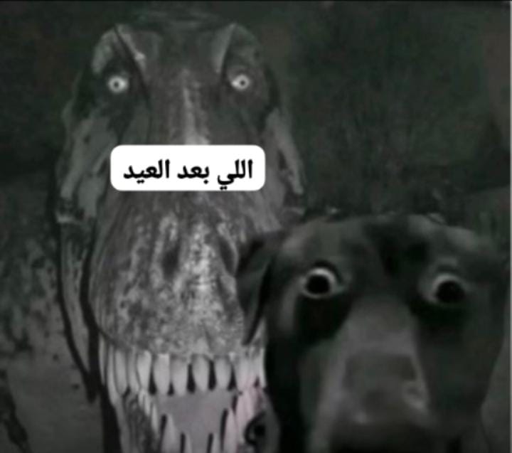 ايعقل ؟! tweet media