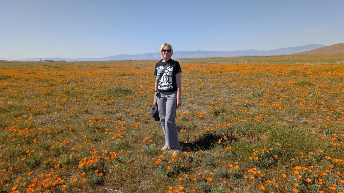 Mark 🇺🇸🇺🇦🇺🇸 tweet media