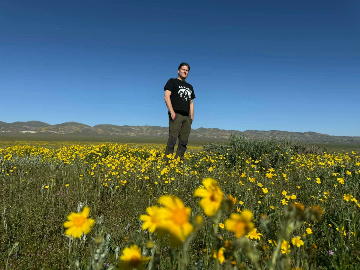 Mark 🇺🇸🇺🇦🇺🇸 tweet media