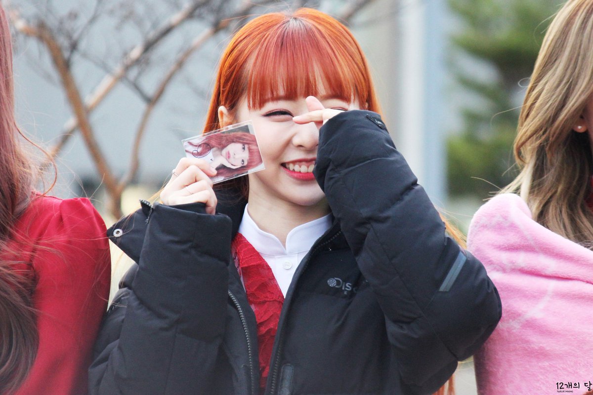 vivi folder tweet media