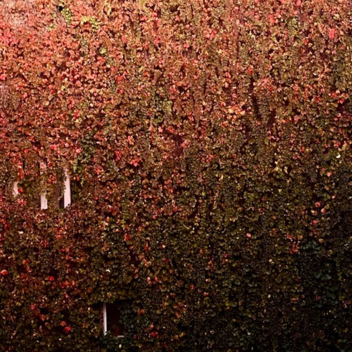 pHinnWeb tweet media