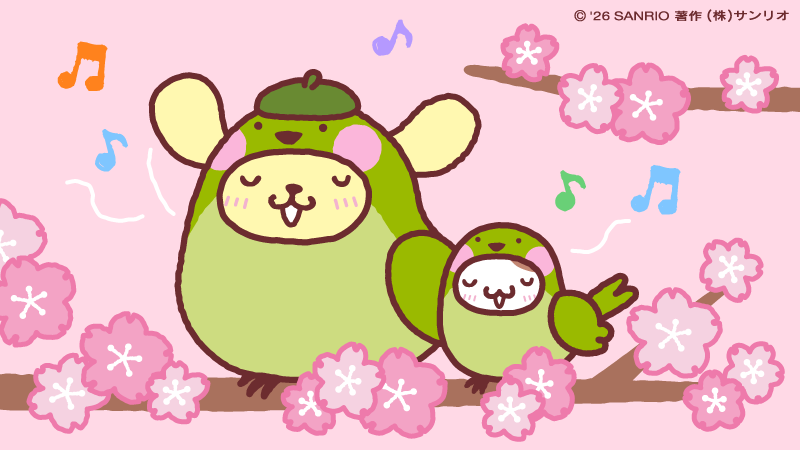 ポムポムプリン【公式】 tweet media