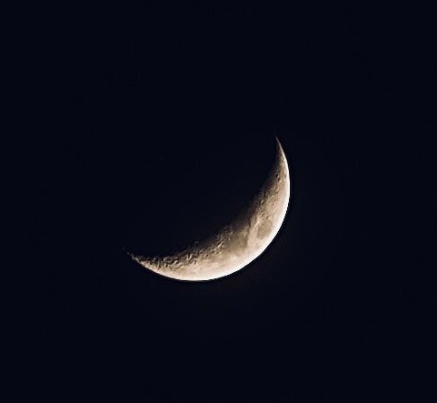 Thatis🌸 tweet media