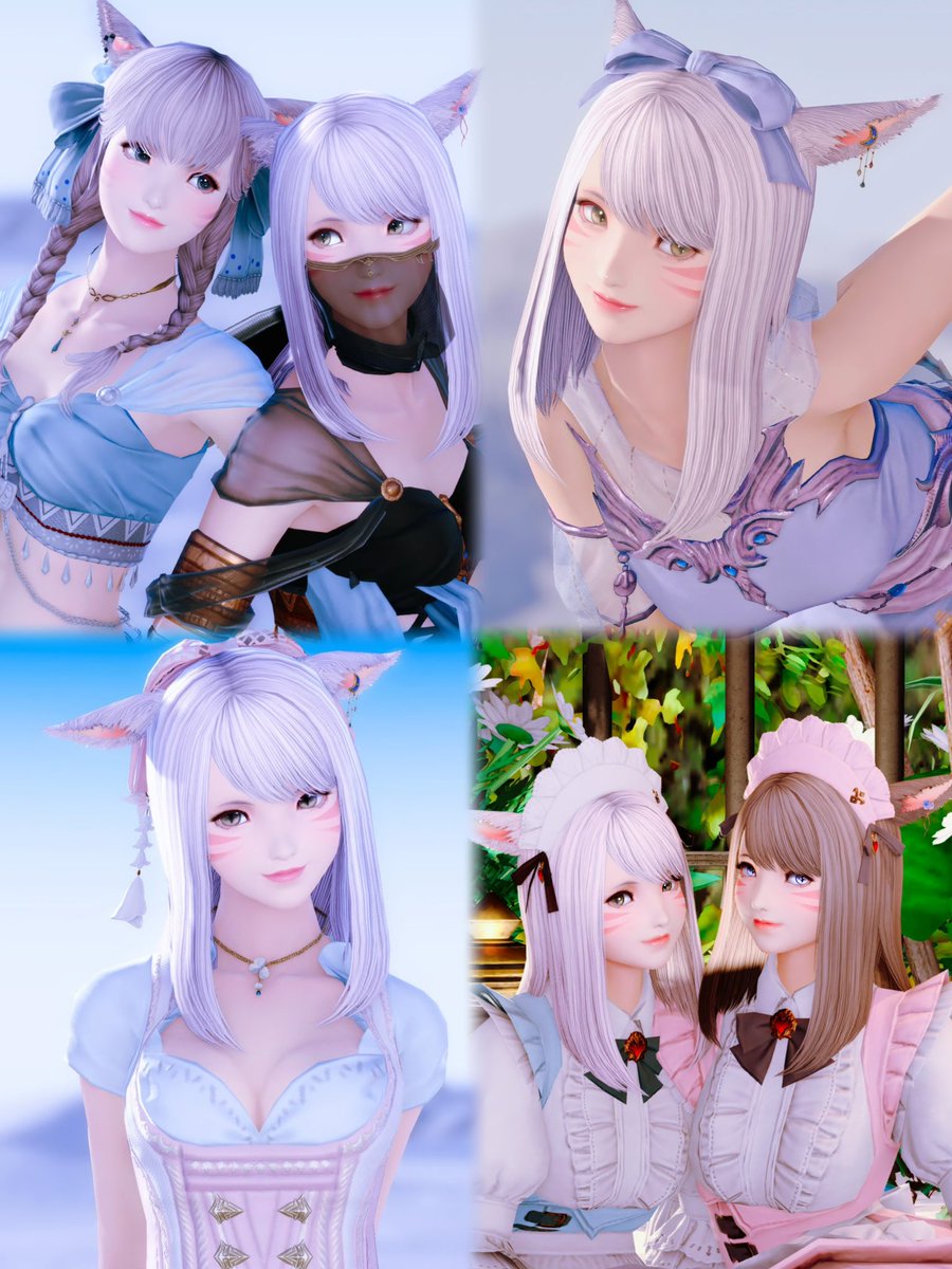 ろん。 tweet media