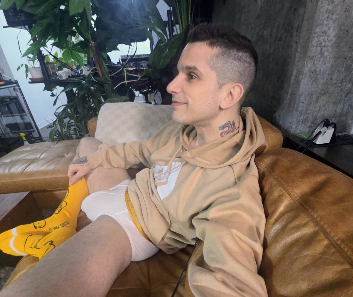 pierrefitch tweet media