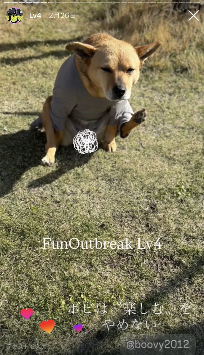 BoovyCamp@FunOutbreak代表 tweet media