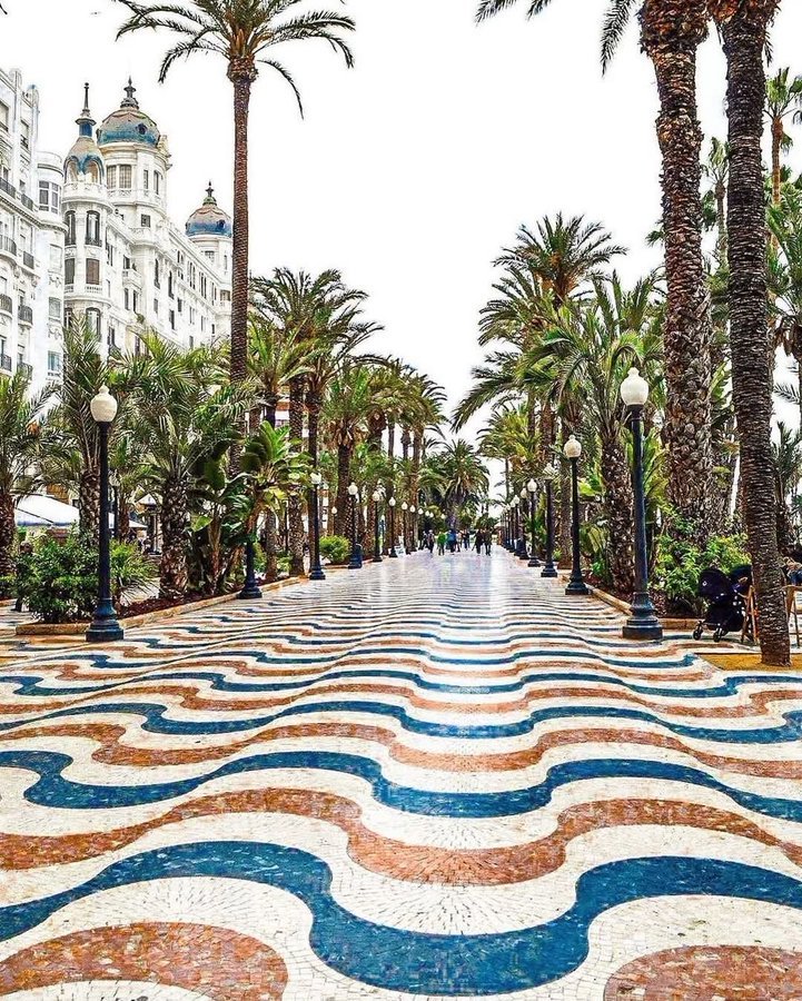 Constitución Española de 1978 tweet media