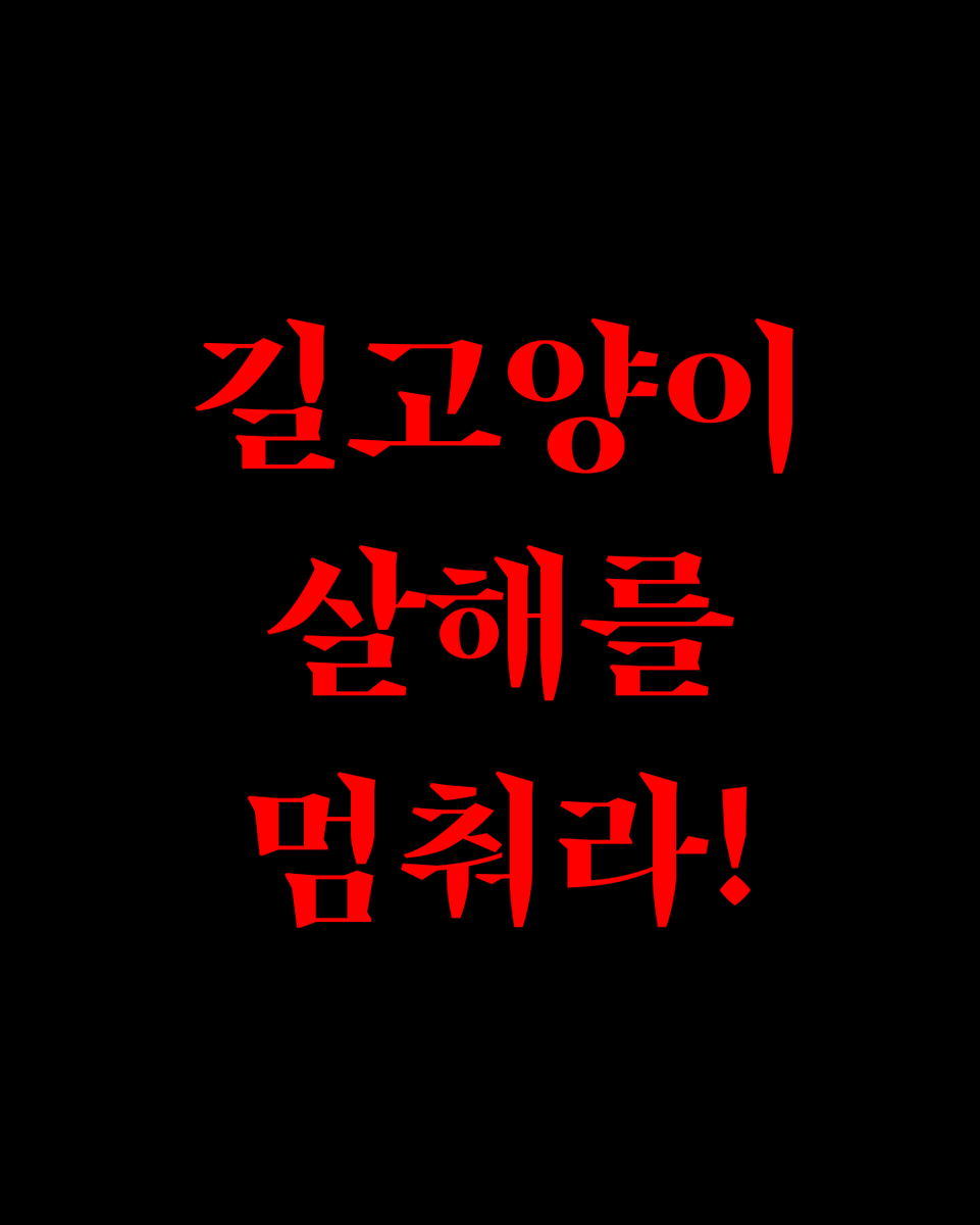 프레스탁! tweet media