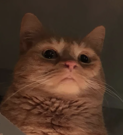 Arun S. Chopra CFA CMT🧐 tweet media