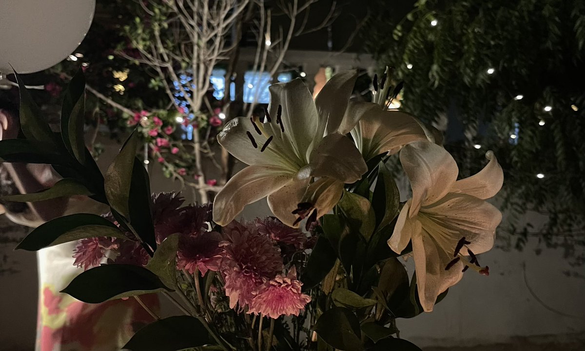 ١٩٥٥ tweet media