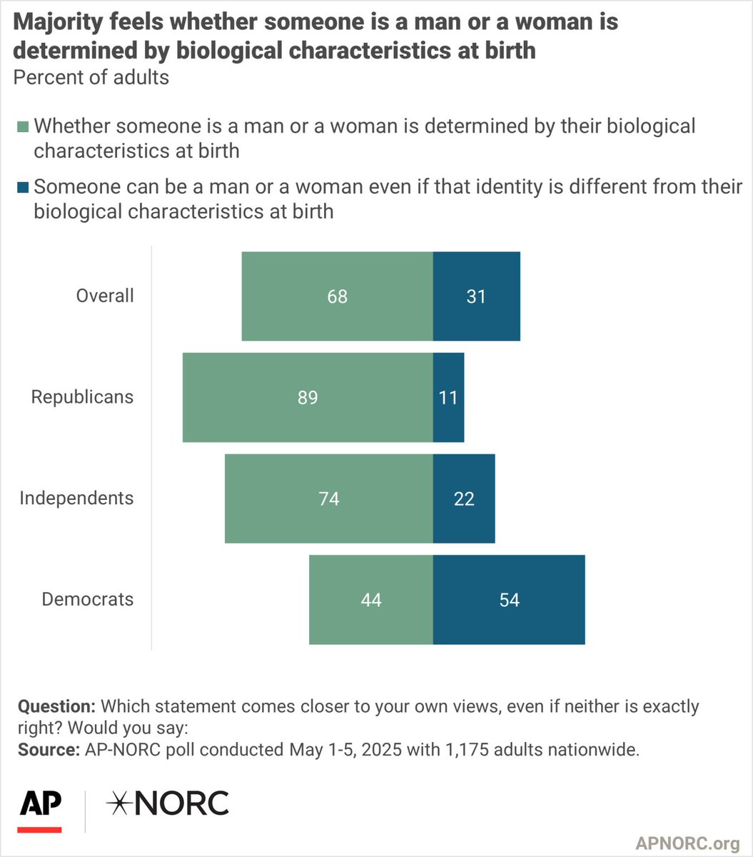 Noah Smith 🐇🇺🇸🇺🇦🇹🇼 tweet media
