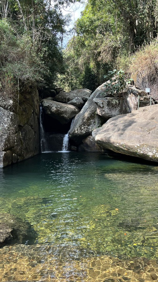 𝒊𝒃𝒂𝒓𝒓𝒂 tweet media