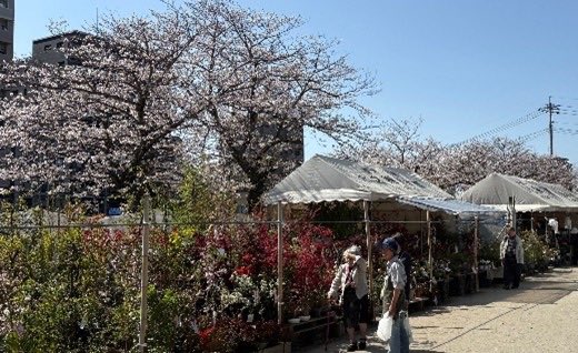 鹿児島市公式 tweet media