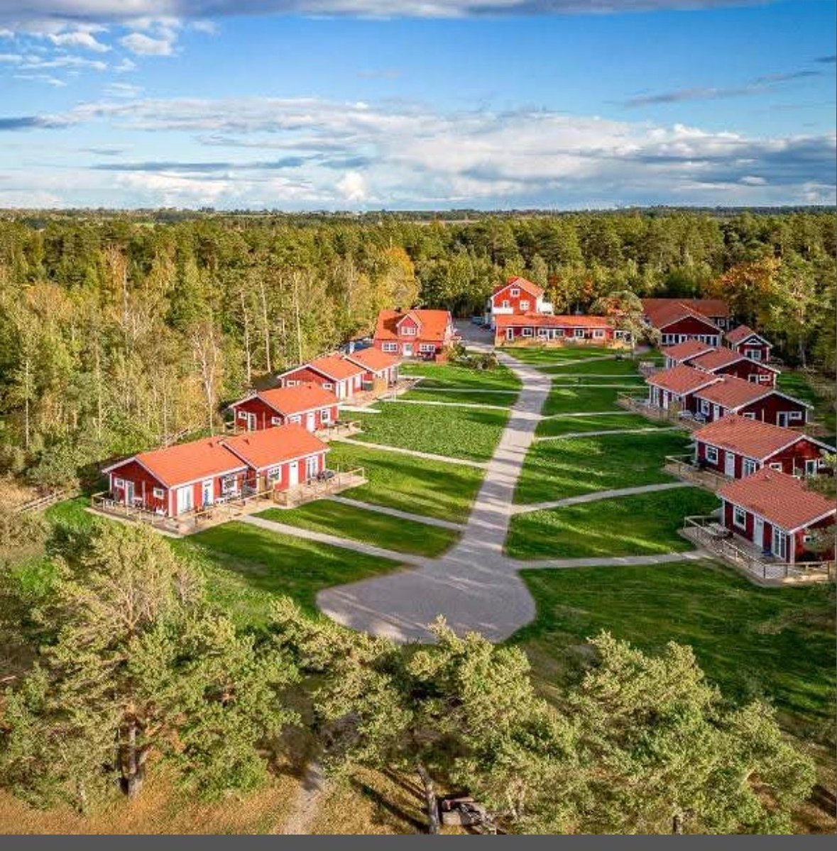 Francisco Castañeda. tweet media