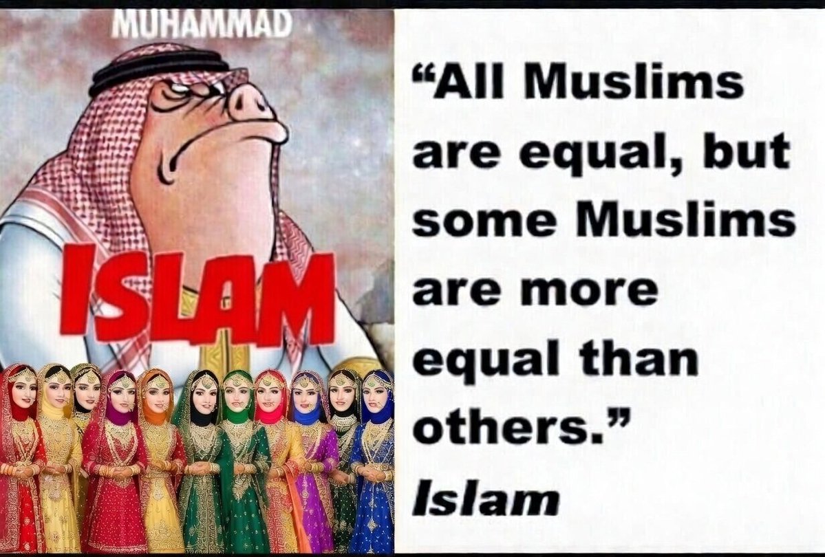 Pappy Bear tweet media