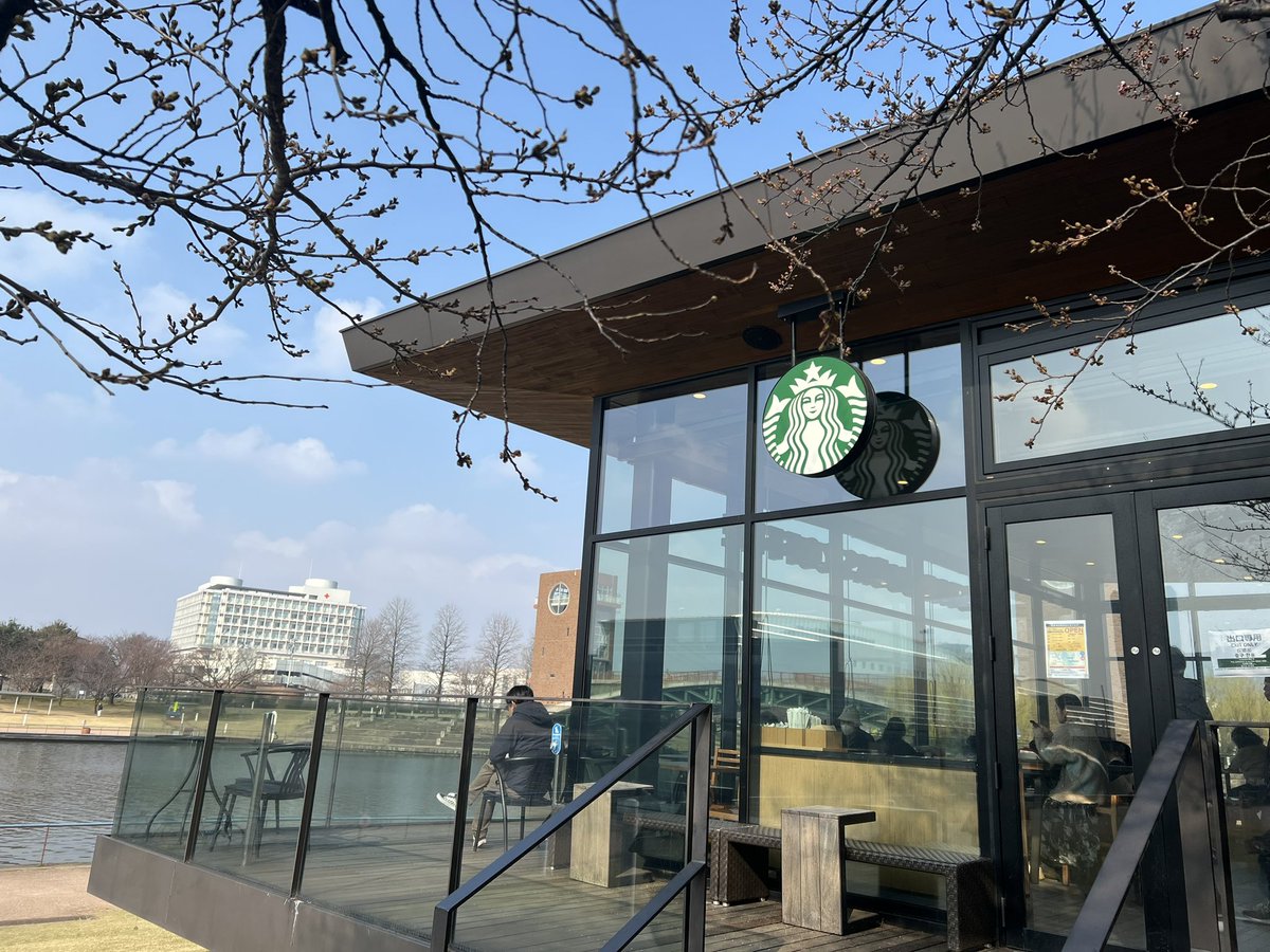 スグル☆ストレリチア！ tweet media