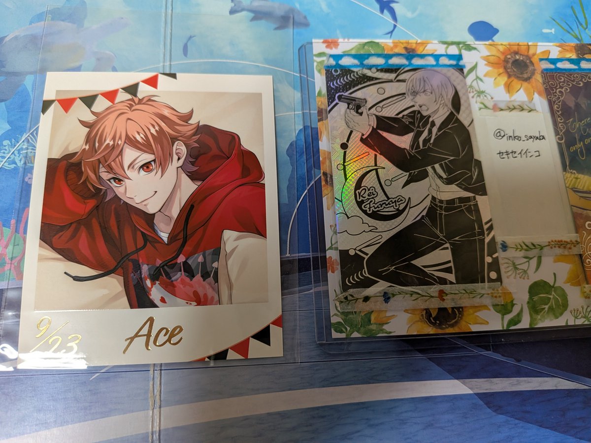 セキセイインコ tweet media