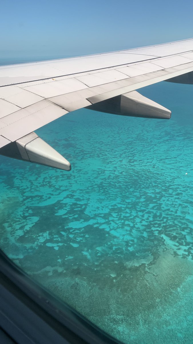 DanielaWX 🌴 tweet media