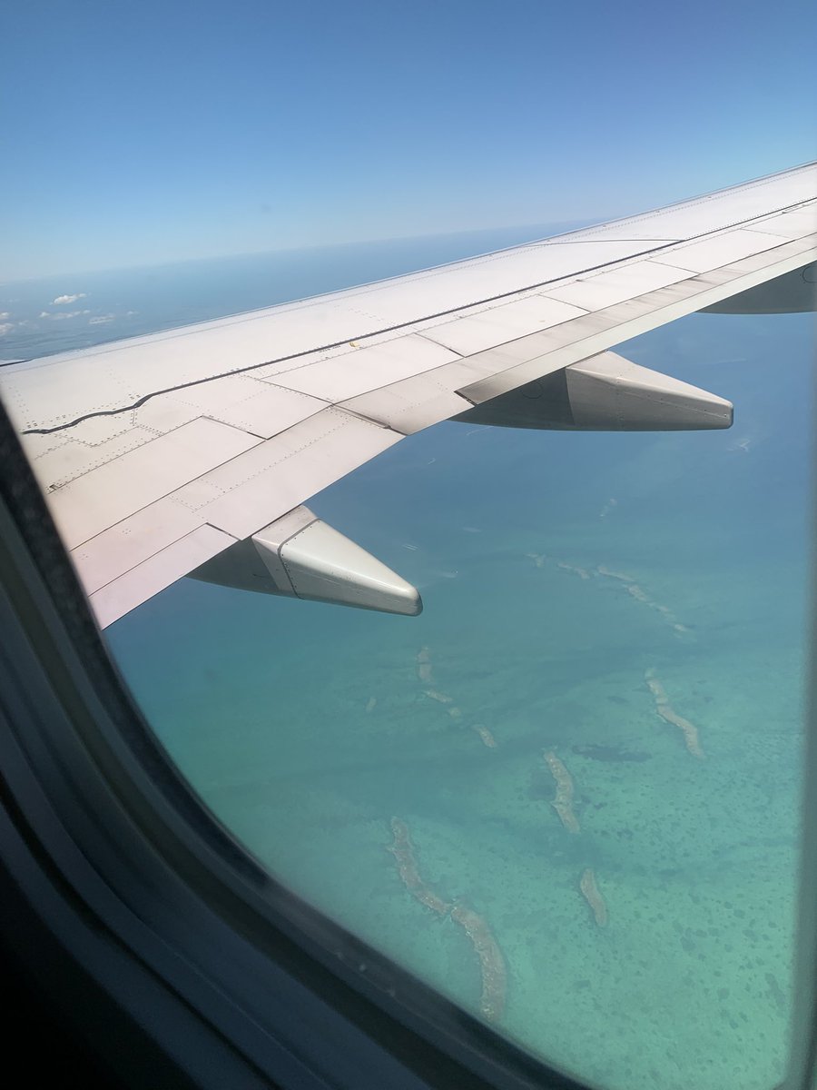 DanielaWX 🌴 tweet media