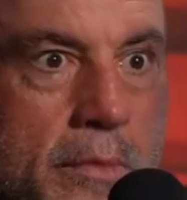 🜃Meta Material tweet media