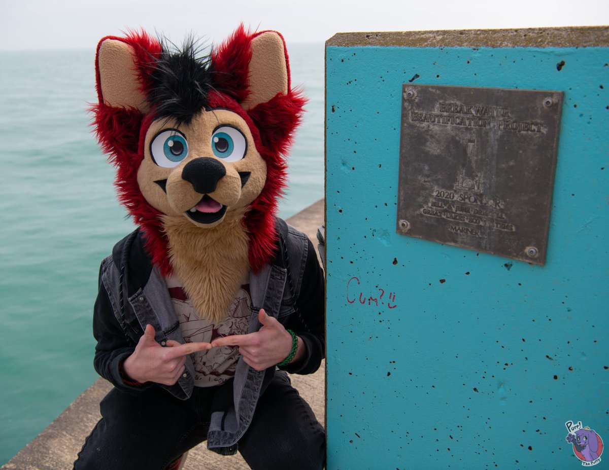 JD 🐶 🔜 bed tweet media