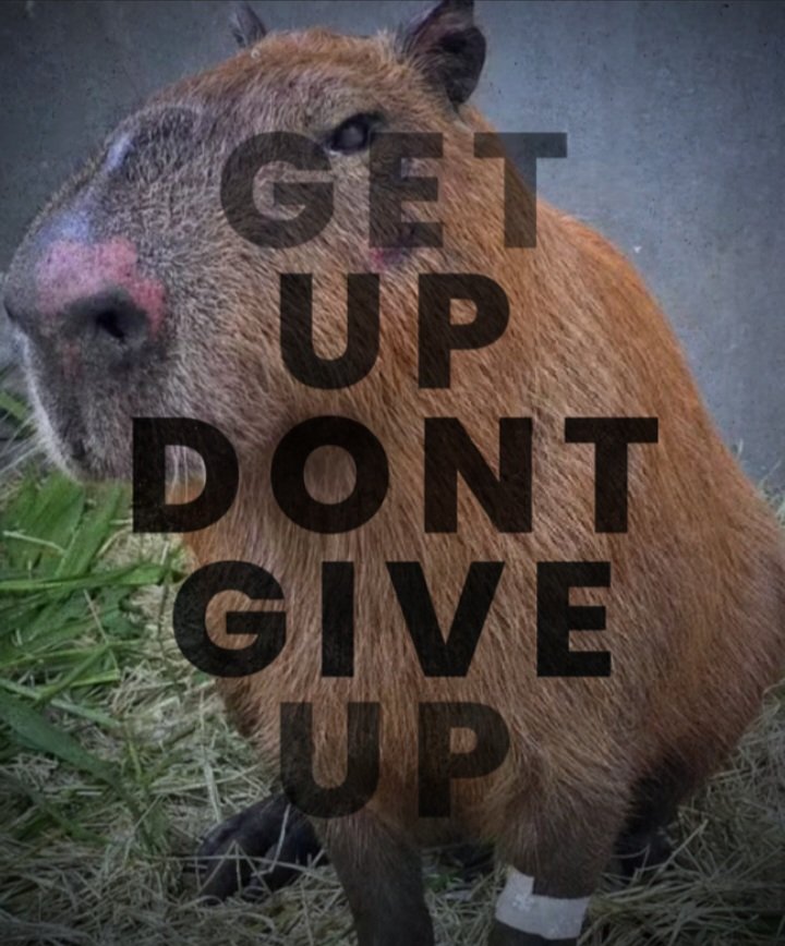 Flawless 💎 tweet media