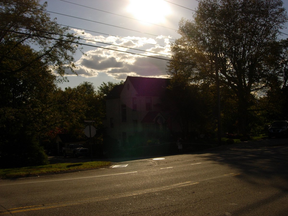 coolratfan tweet media