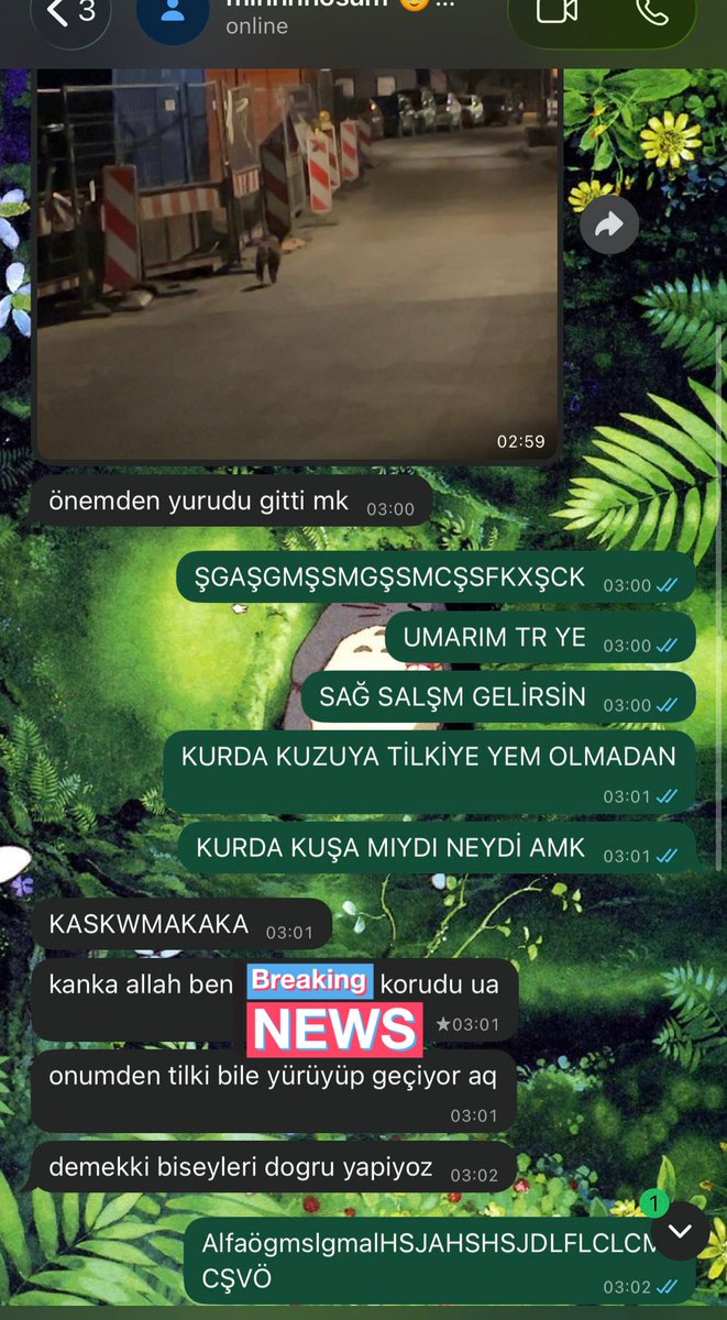 yasmi 🐰🐻 tweet media