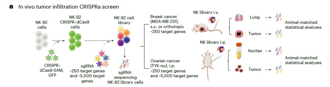 Dr Steven Quay tweet media