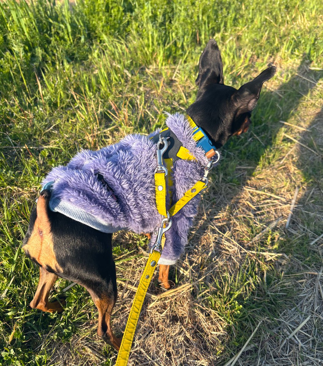 薔薇子™ tweet media