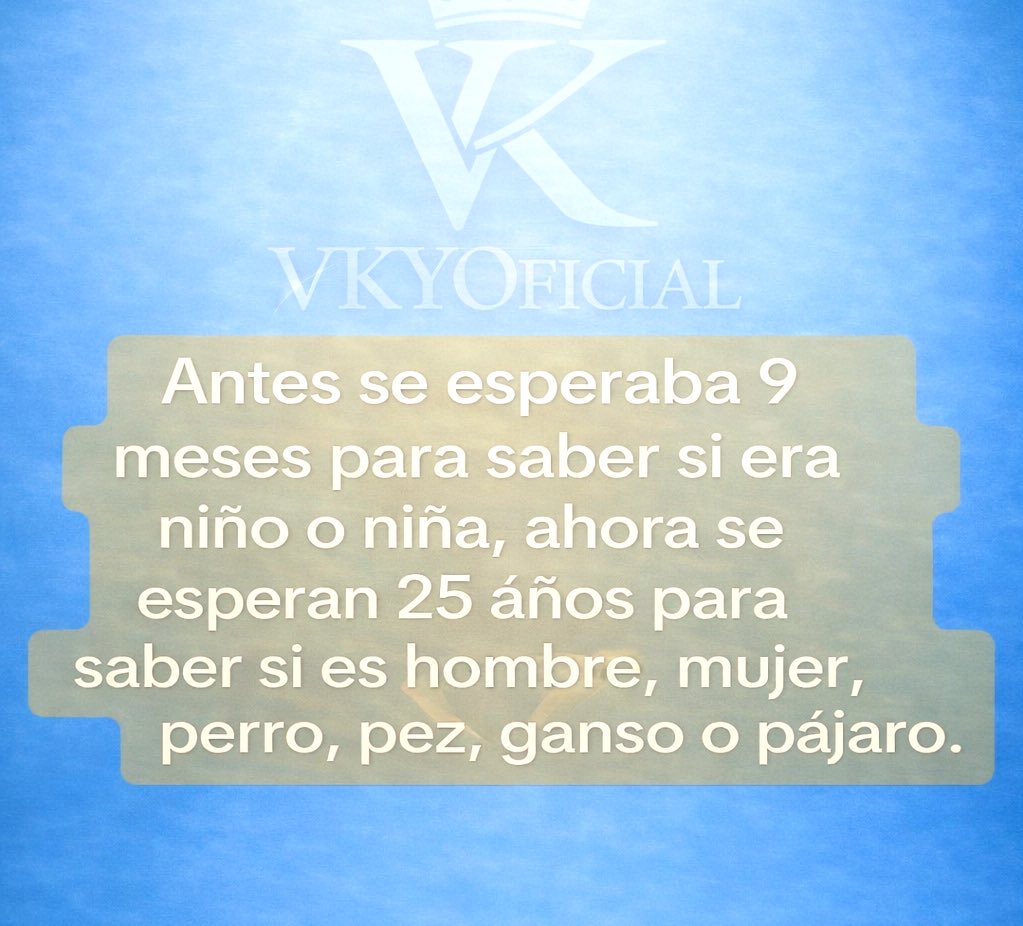 Vkyoficial tweet media