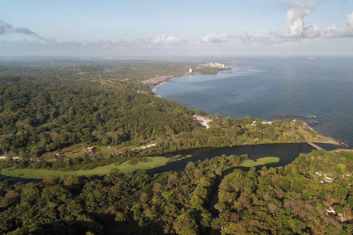 Ministerio de Ambiente de Panamá tweet media