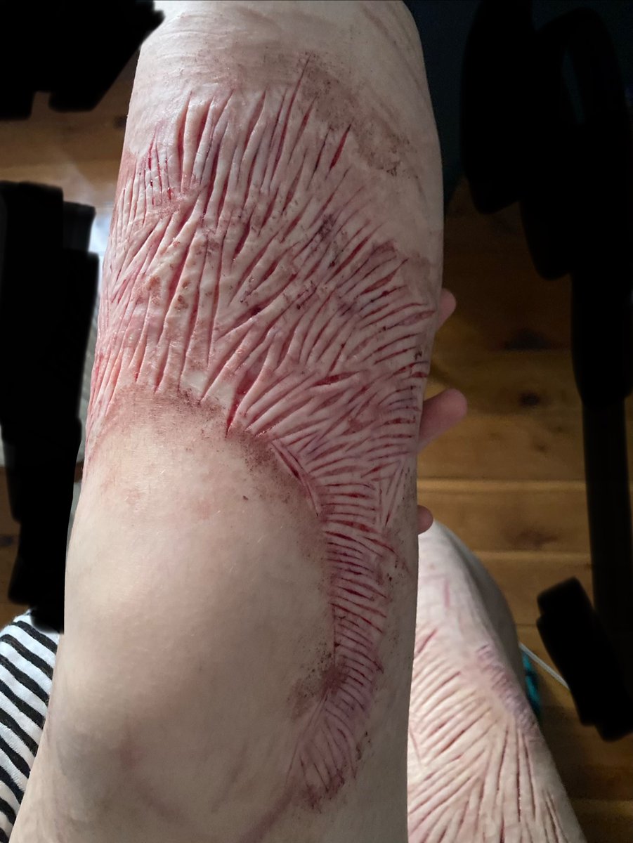 Jordan-shedtwt tweet media