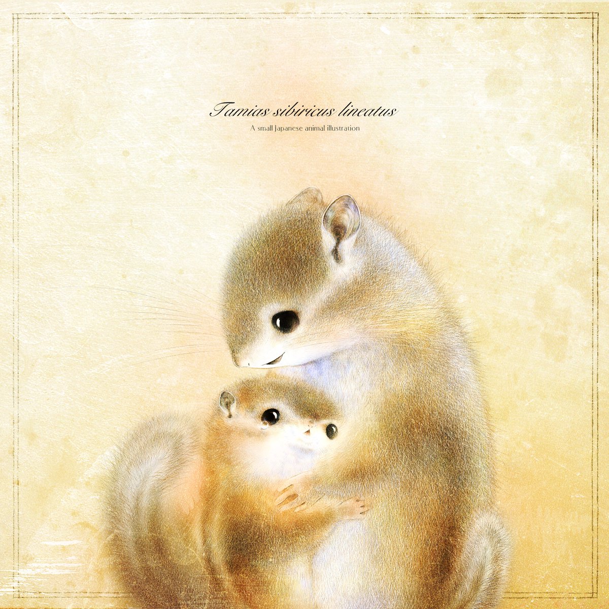 いぬい さえこ🐿️ tweet media