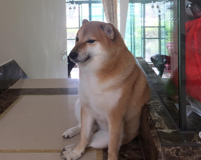 heitoruuu's tweet photo. cara e eu que fudi a foto de duas garotas sem querer no lolla KKKKKKKKKKKKKKKKKKKKKKKKKKKKKKKKKKKKKKKKKKKKKKKKKKKKKKKKK peço perdão https://t.co/0C8Zui5DXT