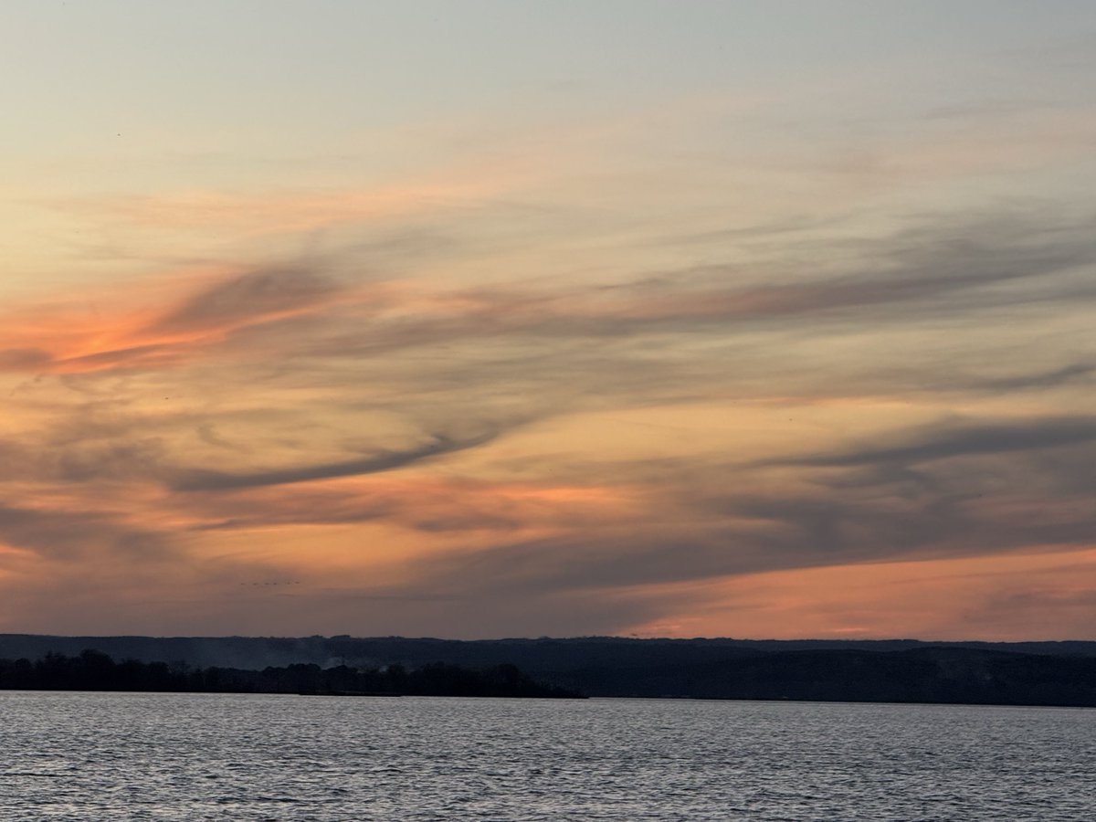 Hope Porter tweet media