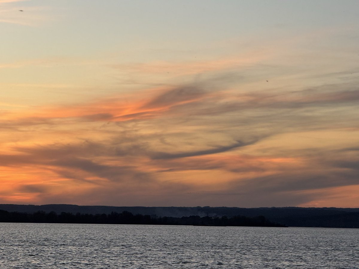 Hope Porter tweet media