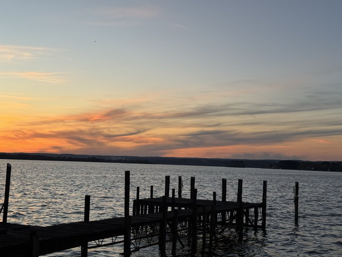 Hope Porter tweet media