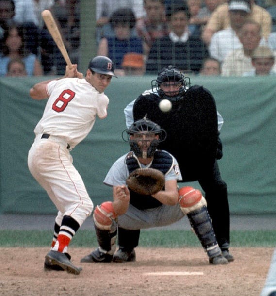 The Pachyderm In The Parlor tweet media